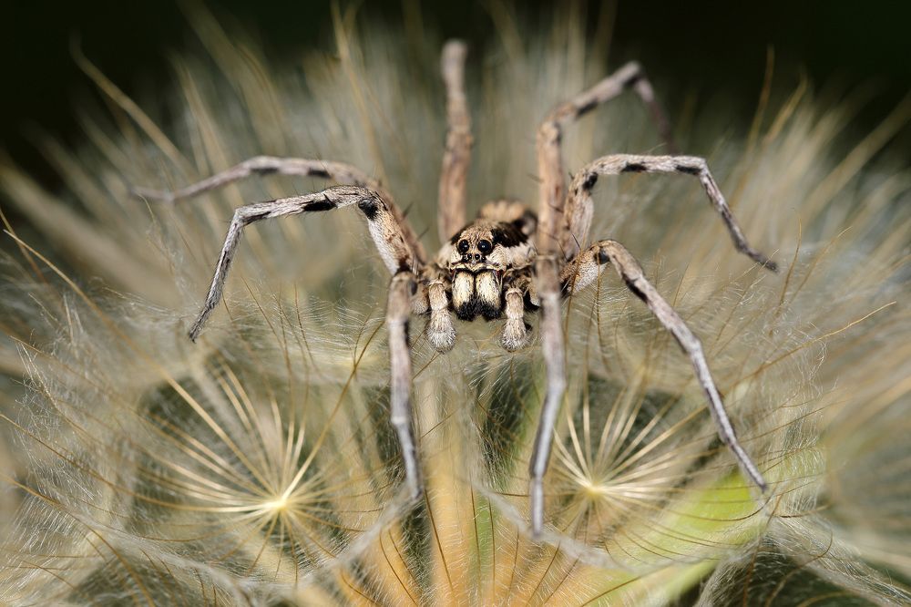 Photograph by Мурат Кужахметов