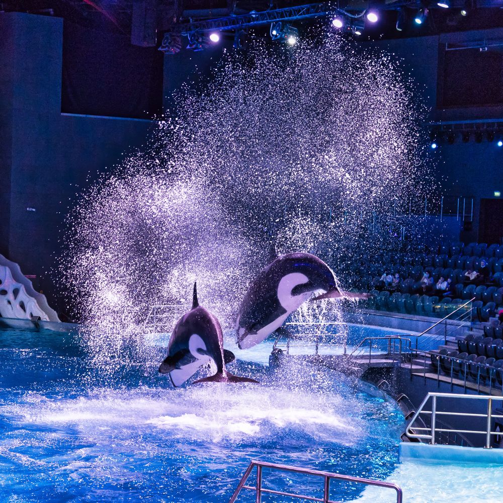 Photograph by Валерий Петухов