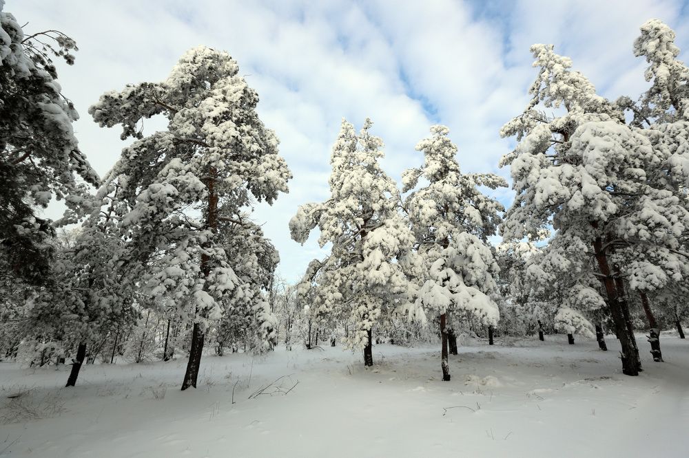 Photograph by Мурат Кужахметов