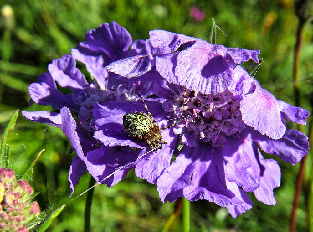 Photograph by Михаил Баевский