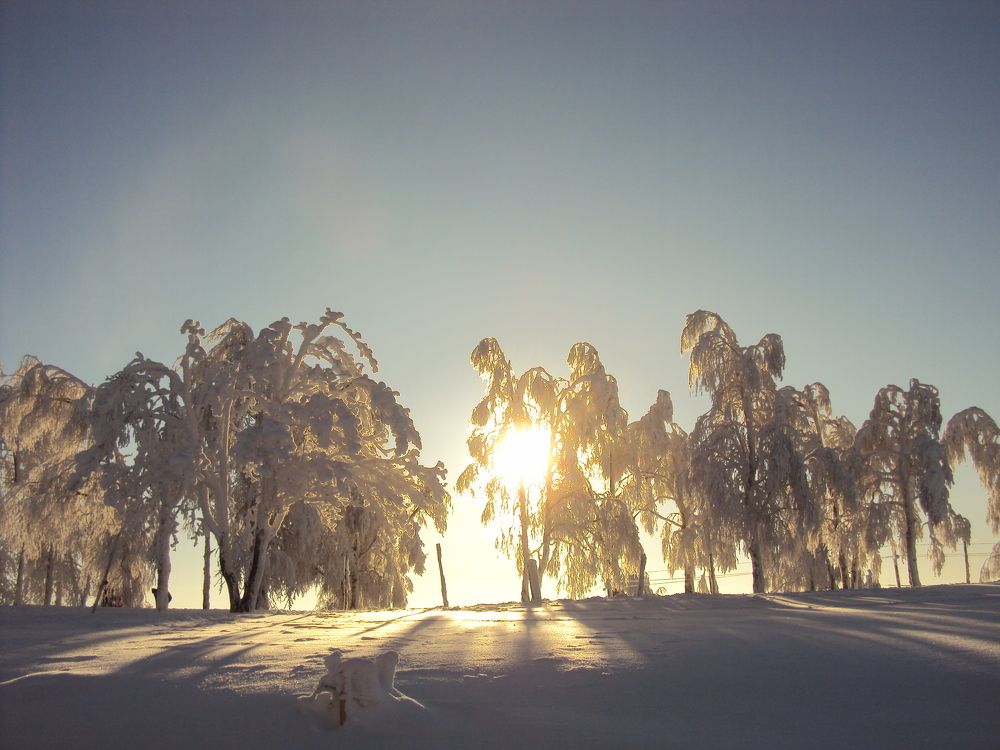 Photo #7166713