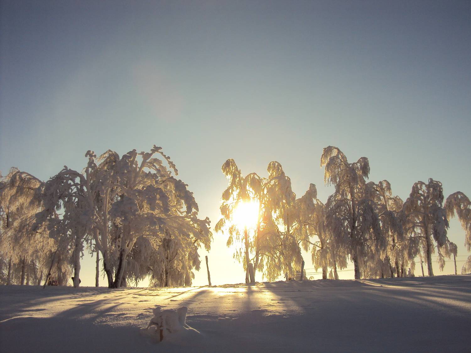 Photo #7166713
