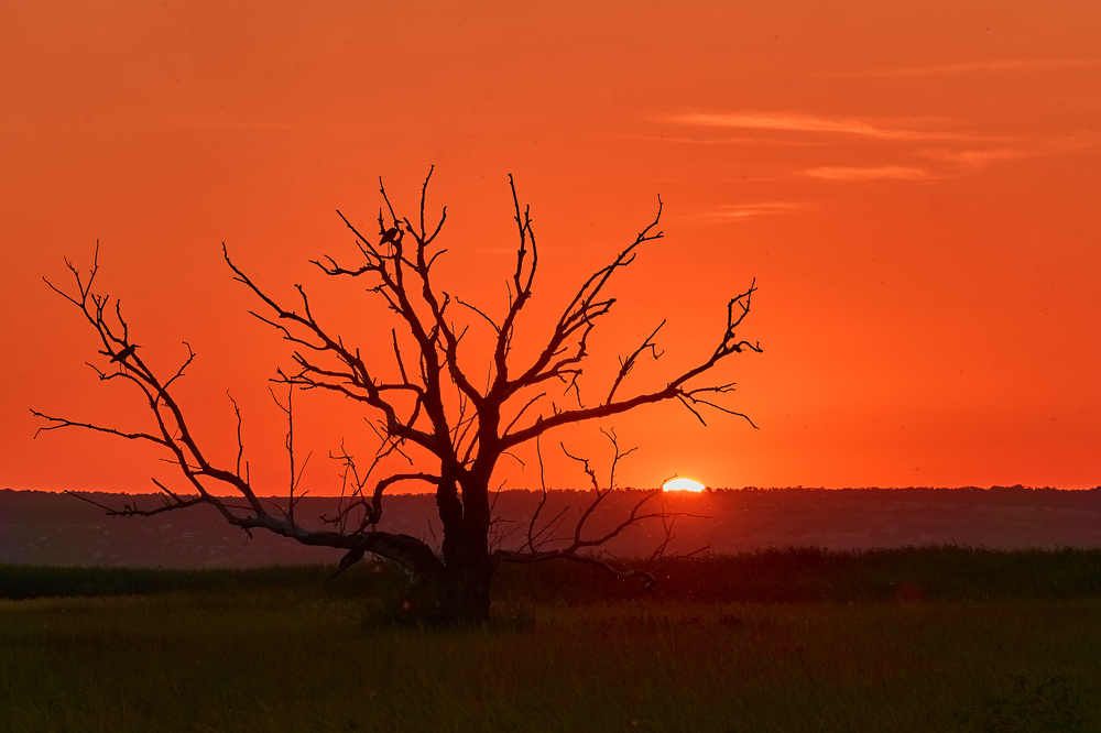 Photograph by Константин Шишкалов