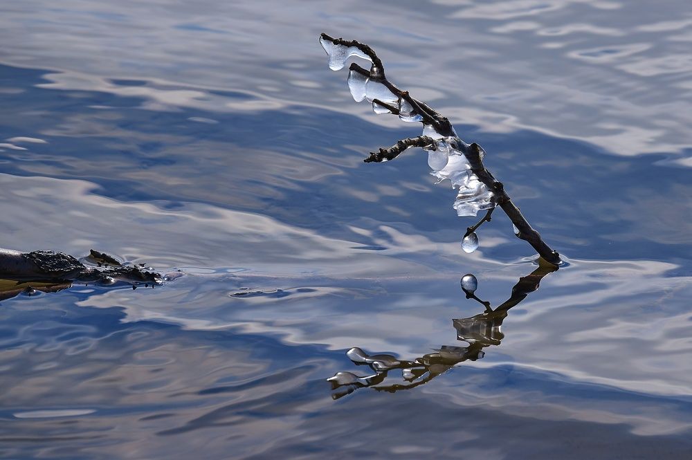 Photograph by Константин Шишкалов