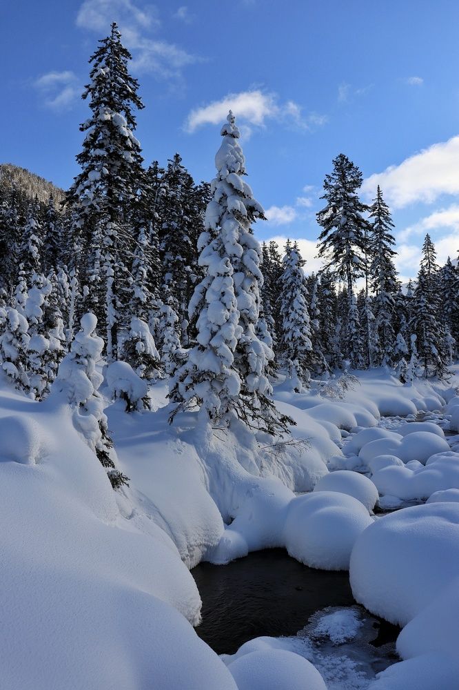 Photograph by Марина Кощеева