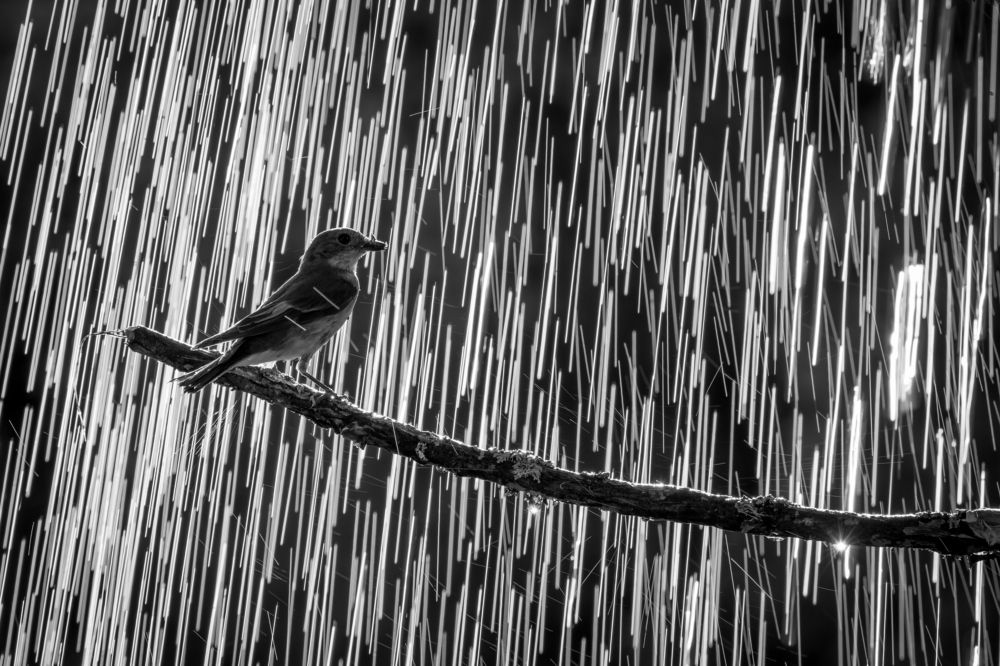 Photograph by Дмитрий Вилюнов