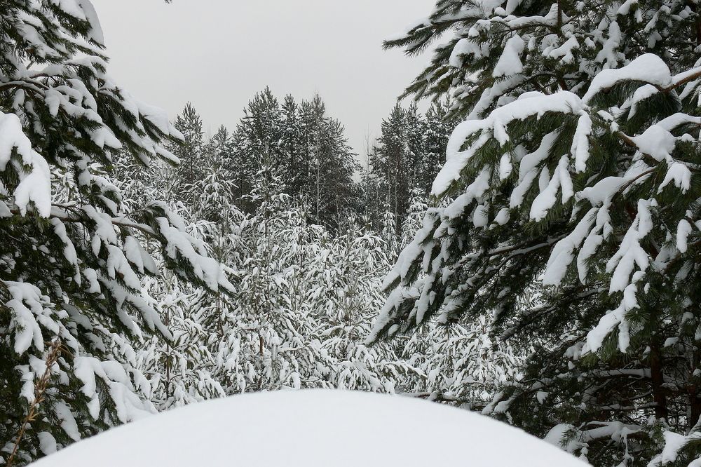 Photograph by Александр Баданов