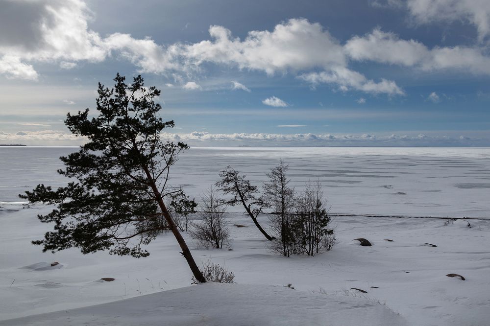 Photograph by Светлана Воробьёва
