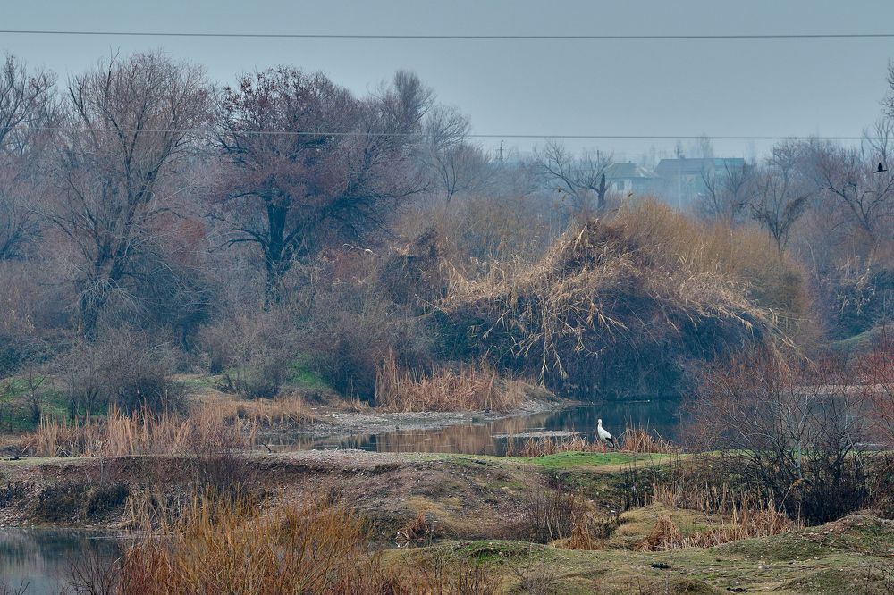 Photograph by Дмитрий