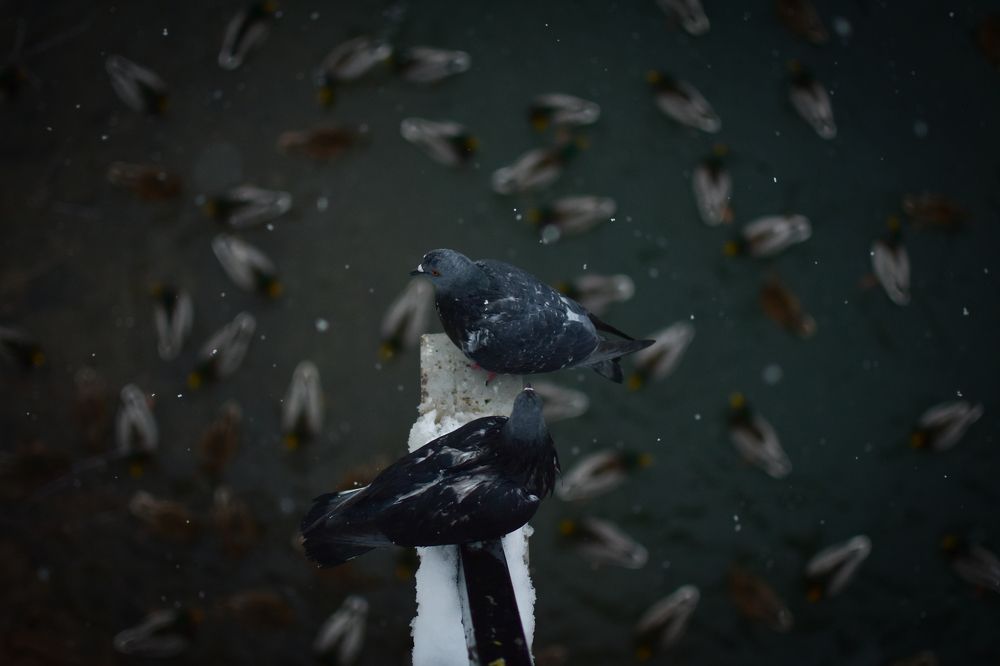 Photograph by Татьяна