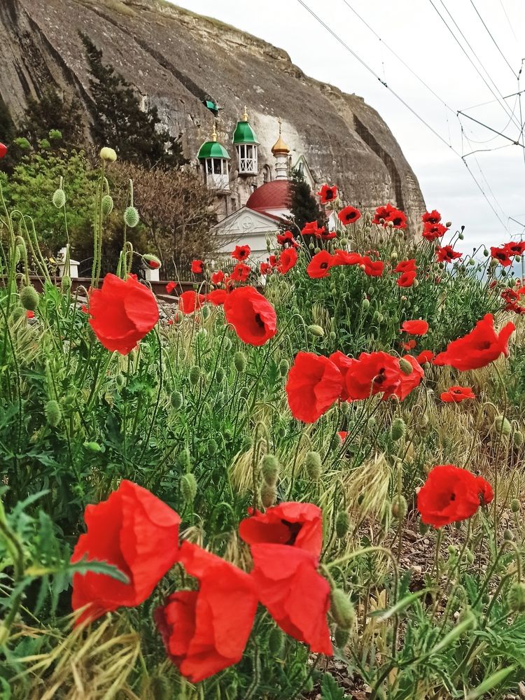 Photograph by Сергей Жигульский