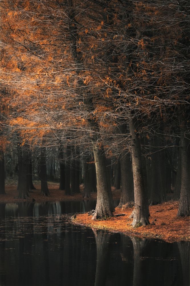 Photograph by Lv Jade