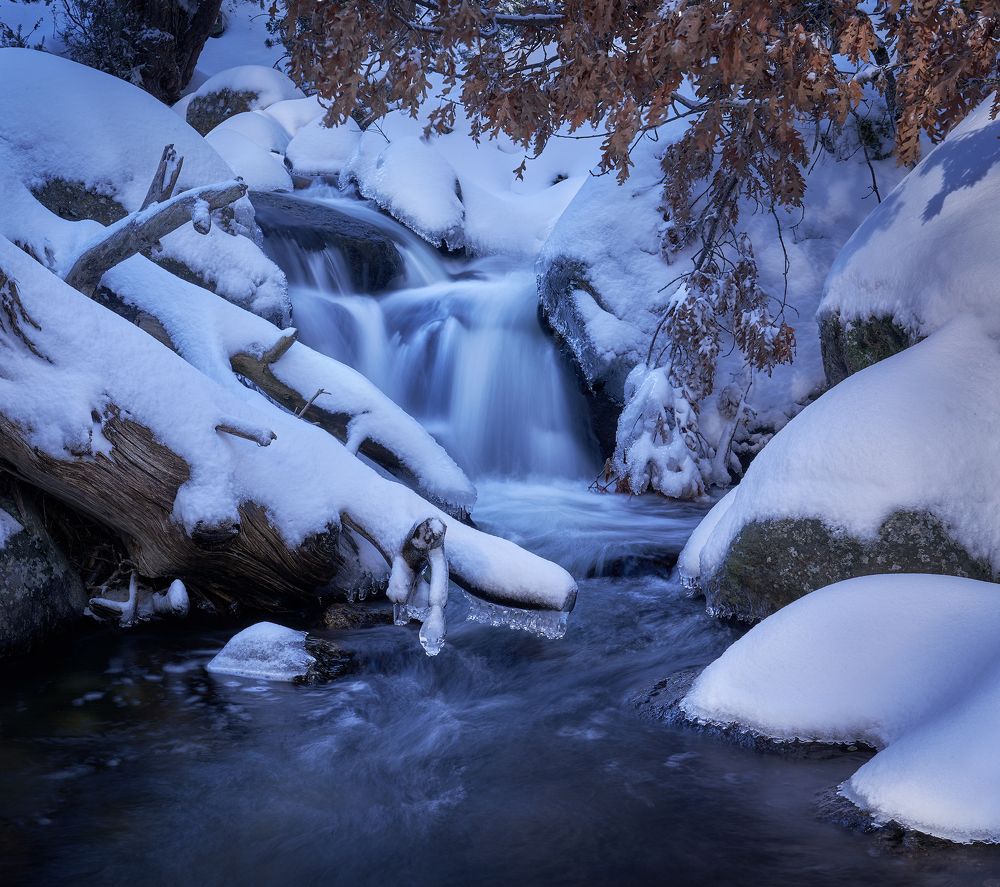 Photograph by Oscar Lata