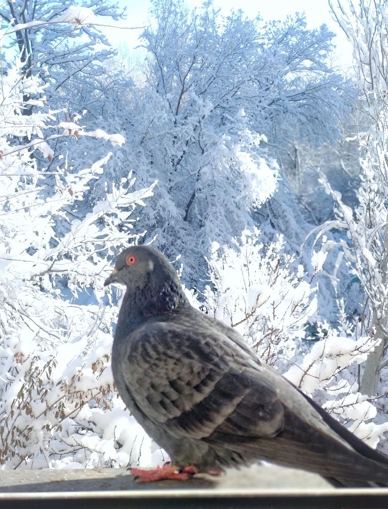 Photograph by Орынбек Асилбаев