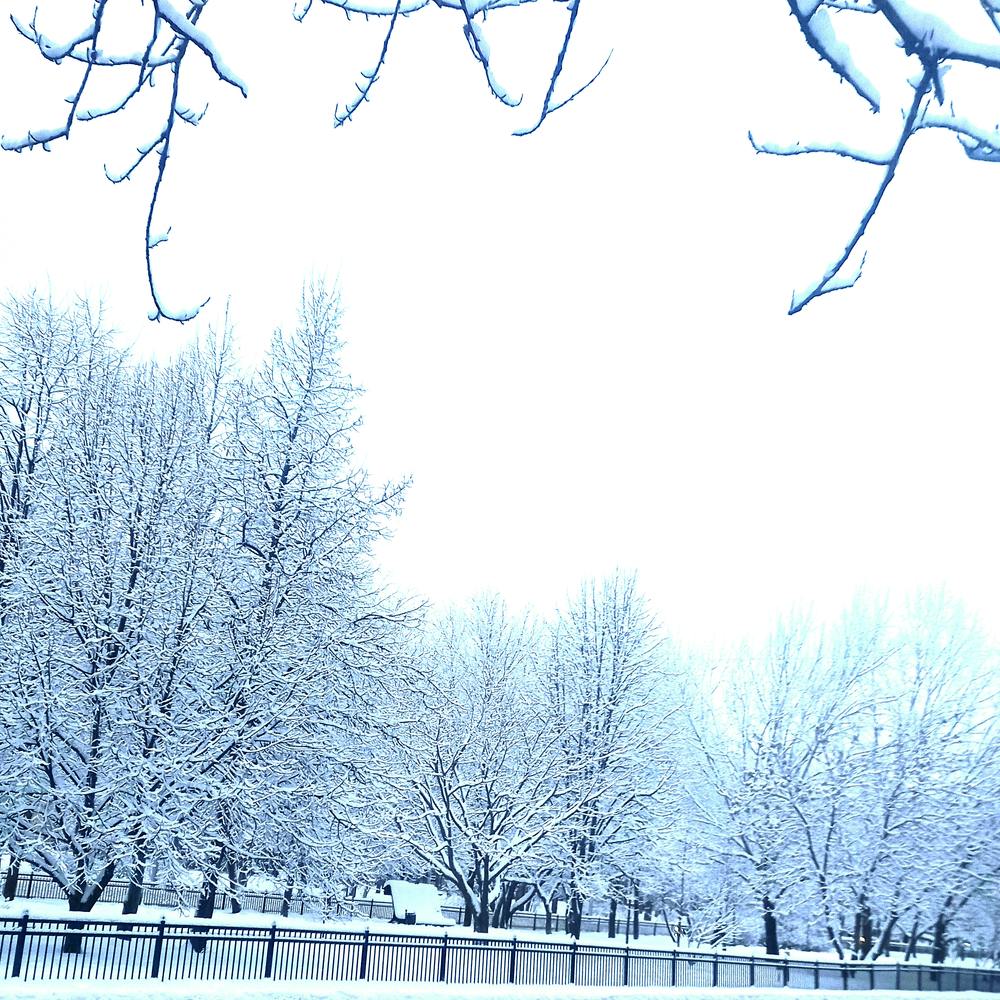 Photograph by Александр Лабутин