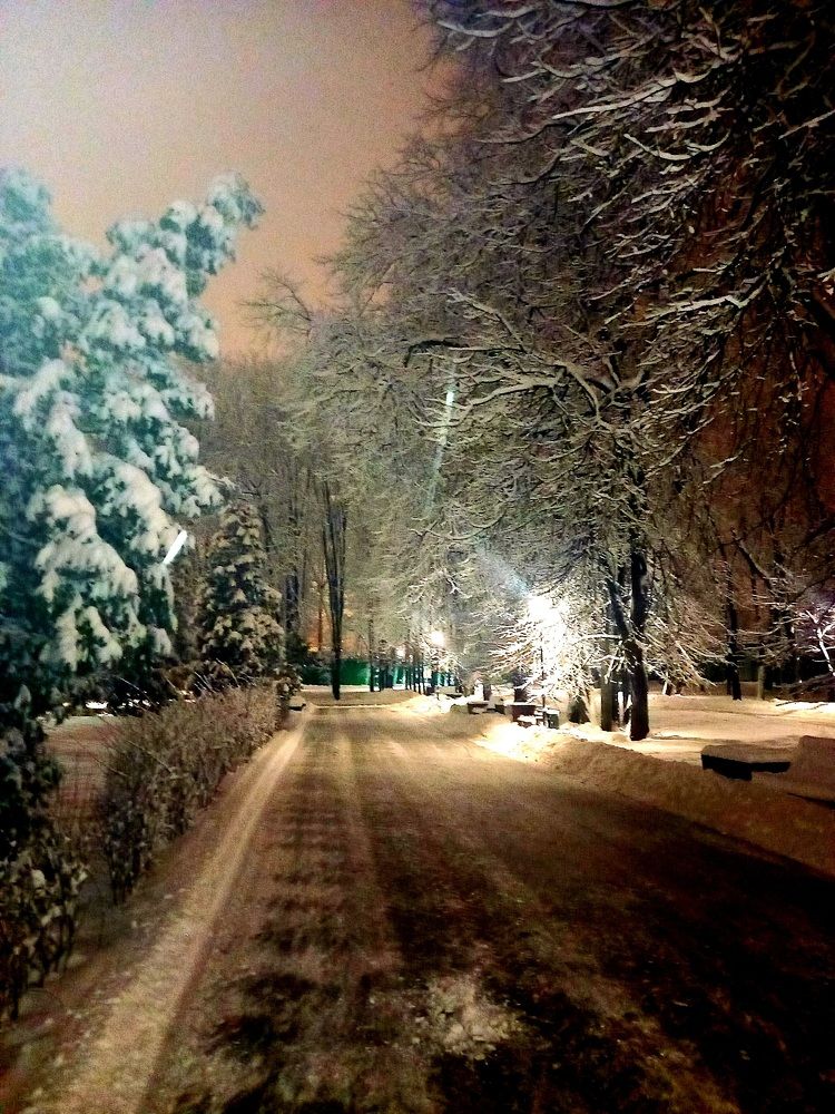 Photograph by Александр Лабутин