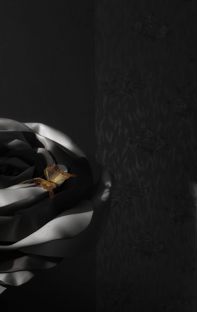 Photograph by Анастасия Дубинина