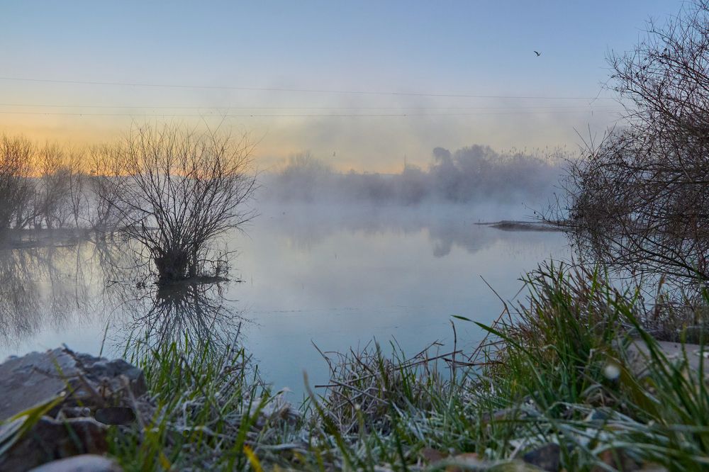 Photograph by Дмитрий