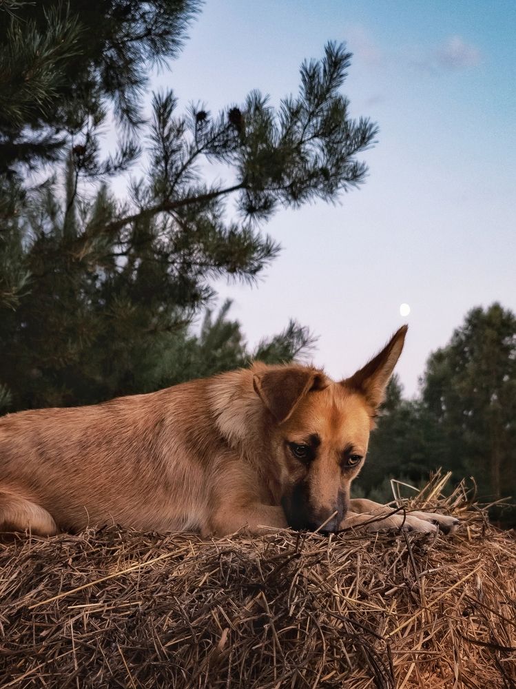 Photograph by Людмила