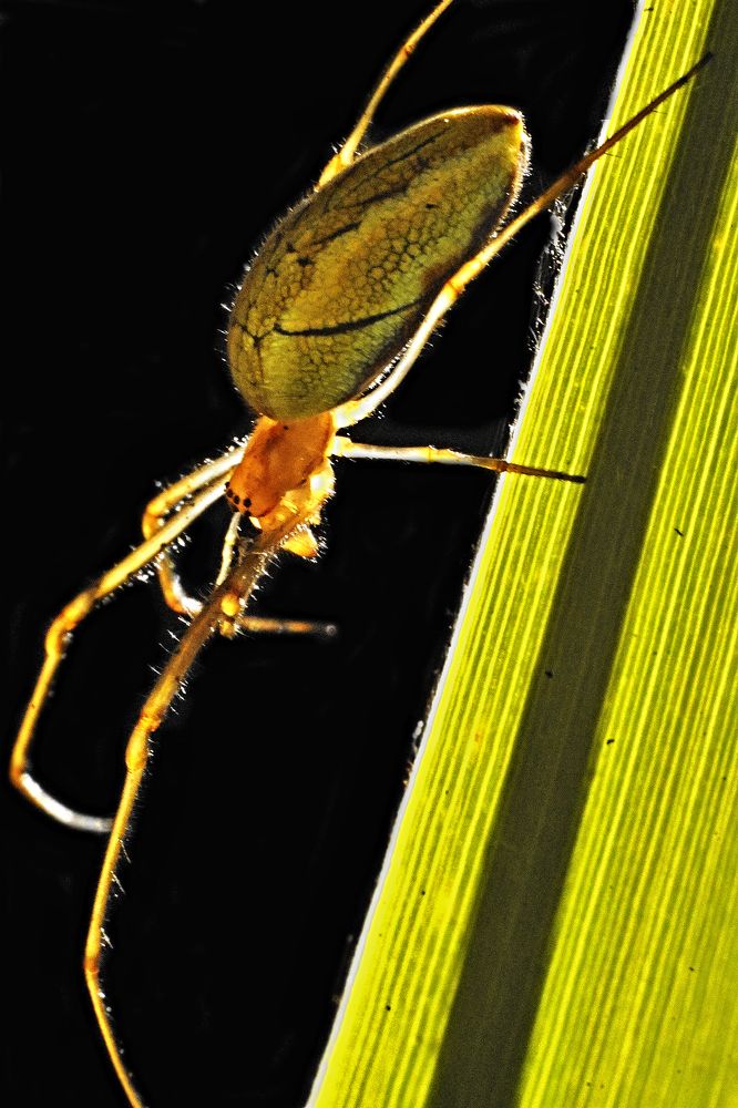 Фотография автора Игорь Иванов