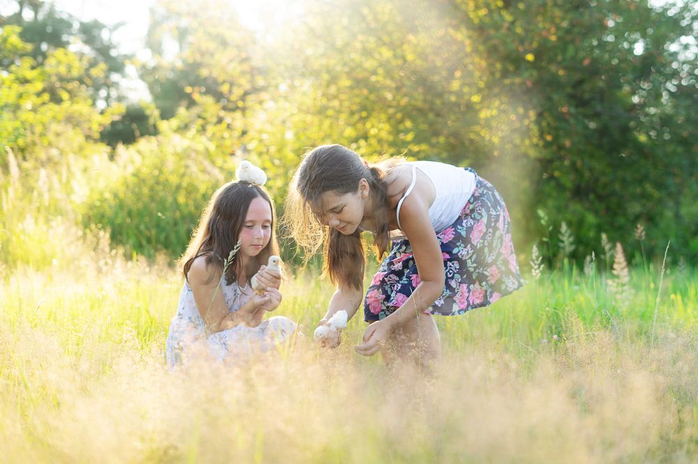 Photograph by Сапожникова Виктория