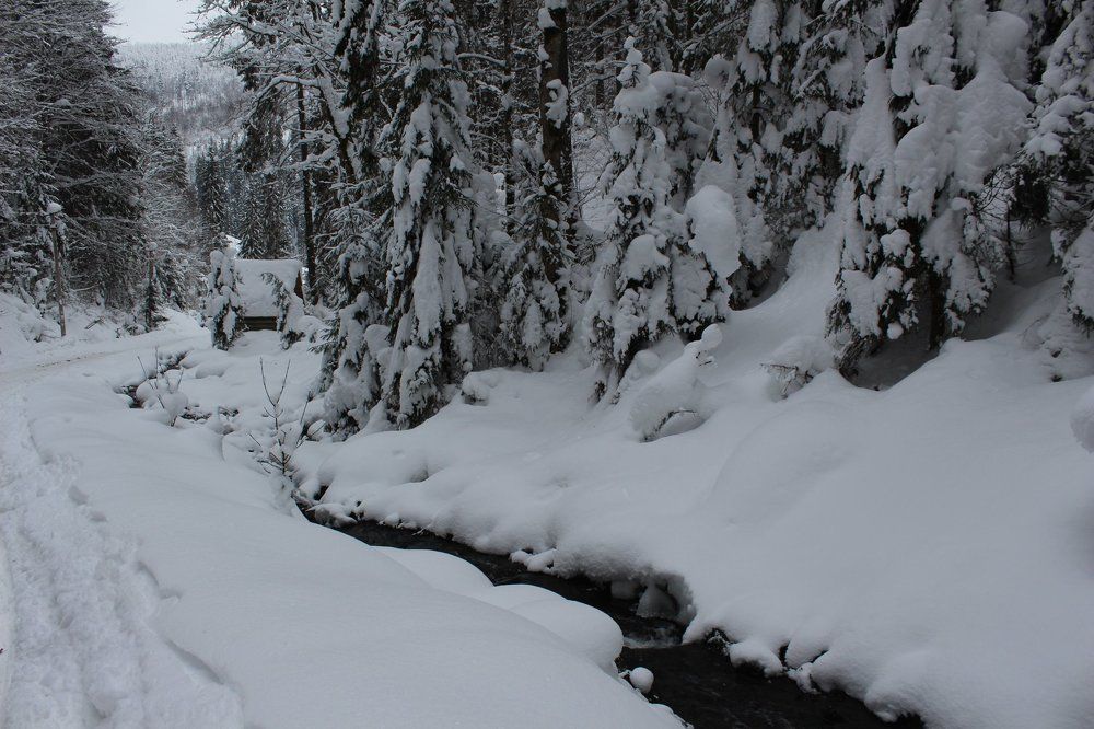 Photograph by Людмила Колесниченко