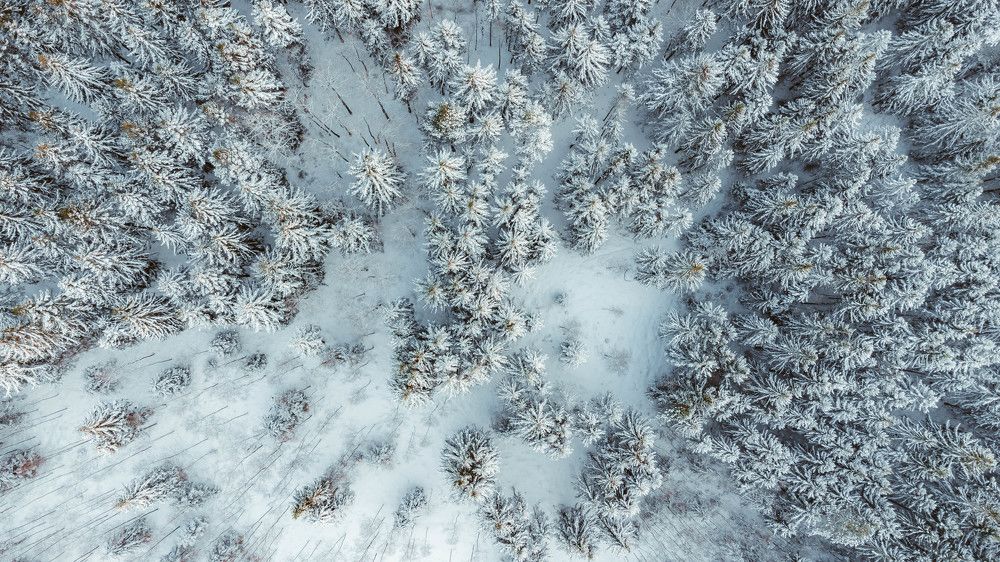 Photograph by Сергей Смирнов