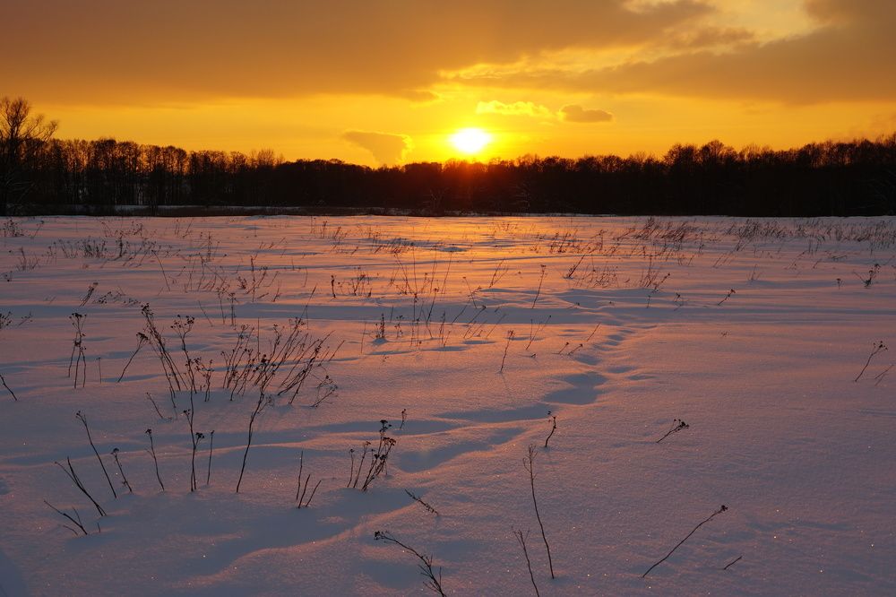 Photograph by Елена Никонова