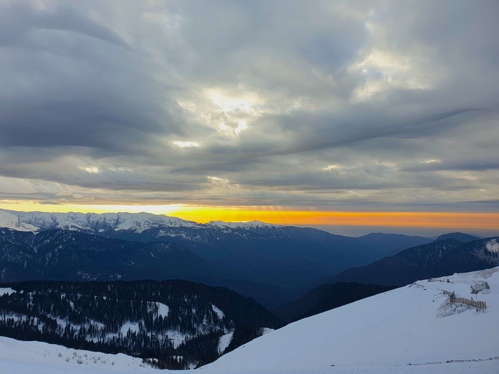 Photograph by Marie G