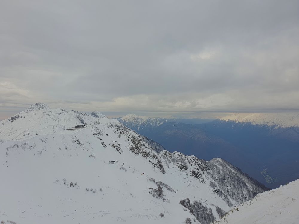 Photograph by Marie G