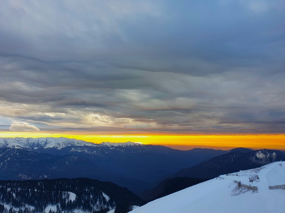 Photograph by Marie G