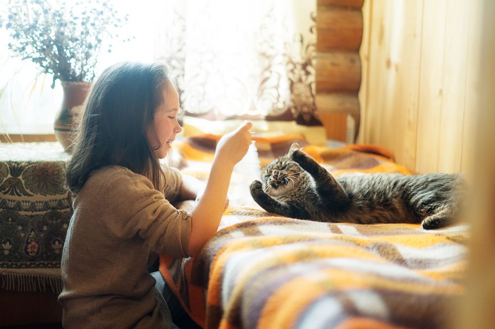 Photograph by Сапожникова Виктория