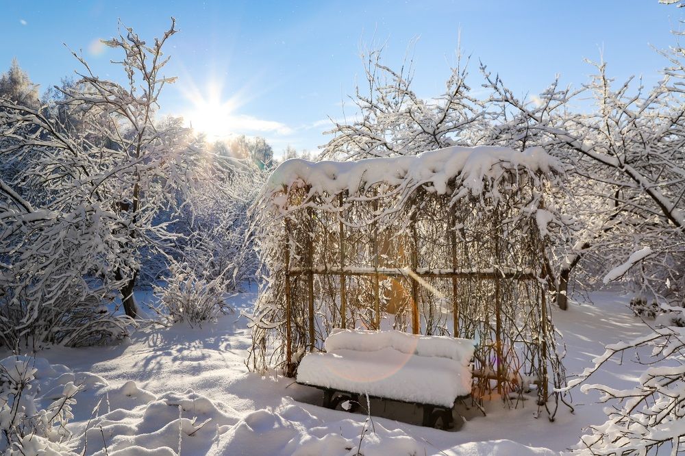 Photograph by Наталья Шапиева