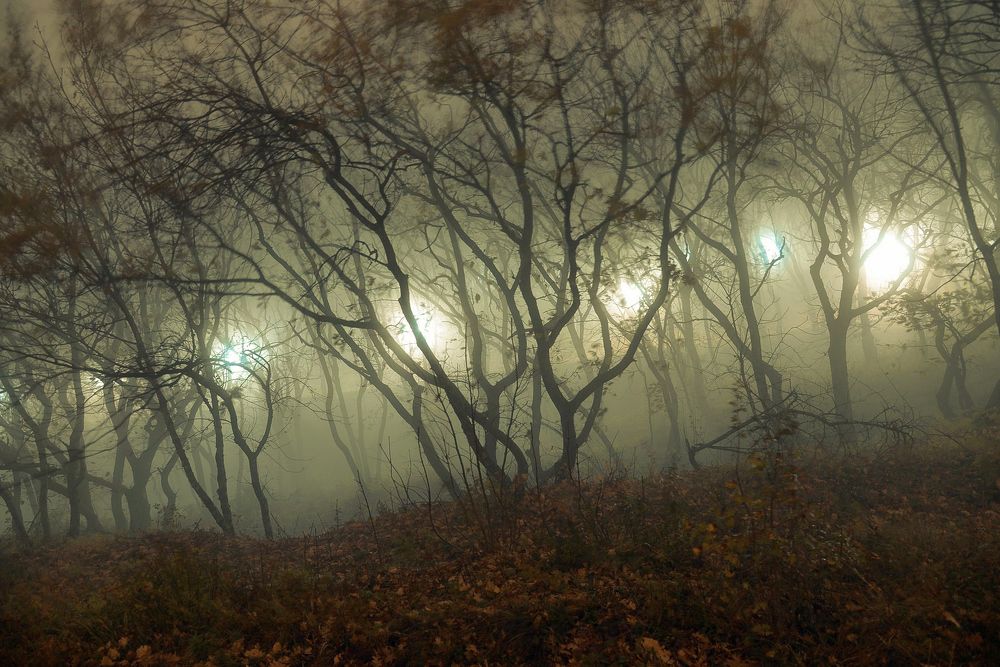 Photograph by Вадим Качанов