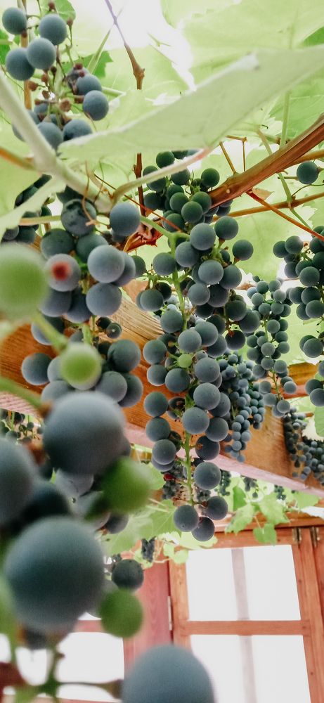 Photograph by Ирина Лузянина