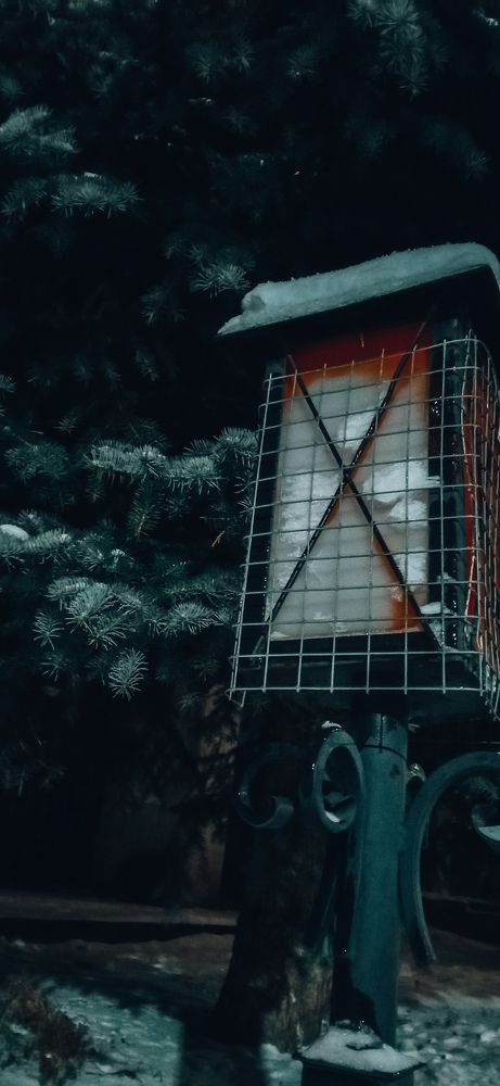 Photograph by Ирина Лузянина