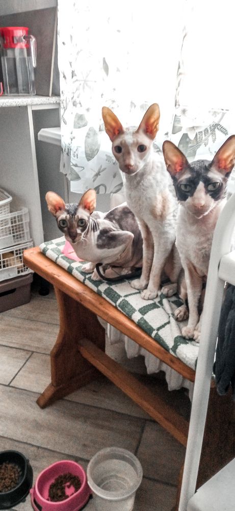 Photograph by Ирина Лузянина