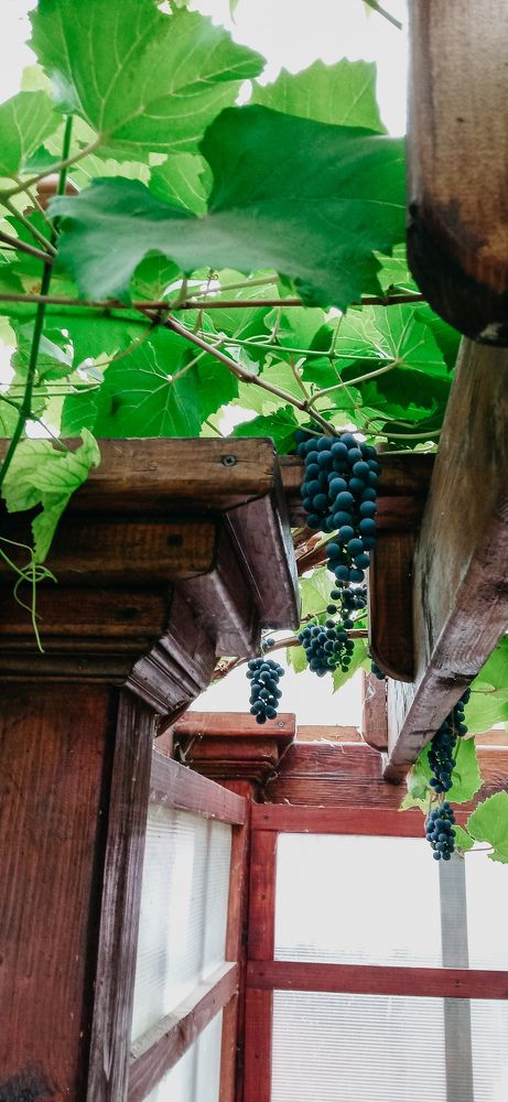 Photograph by Ирина Лузянина