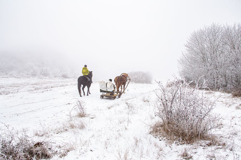 Photograph by Анатолий Мигов