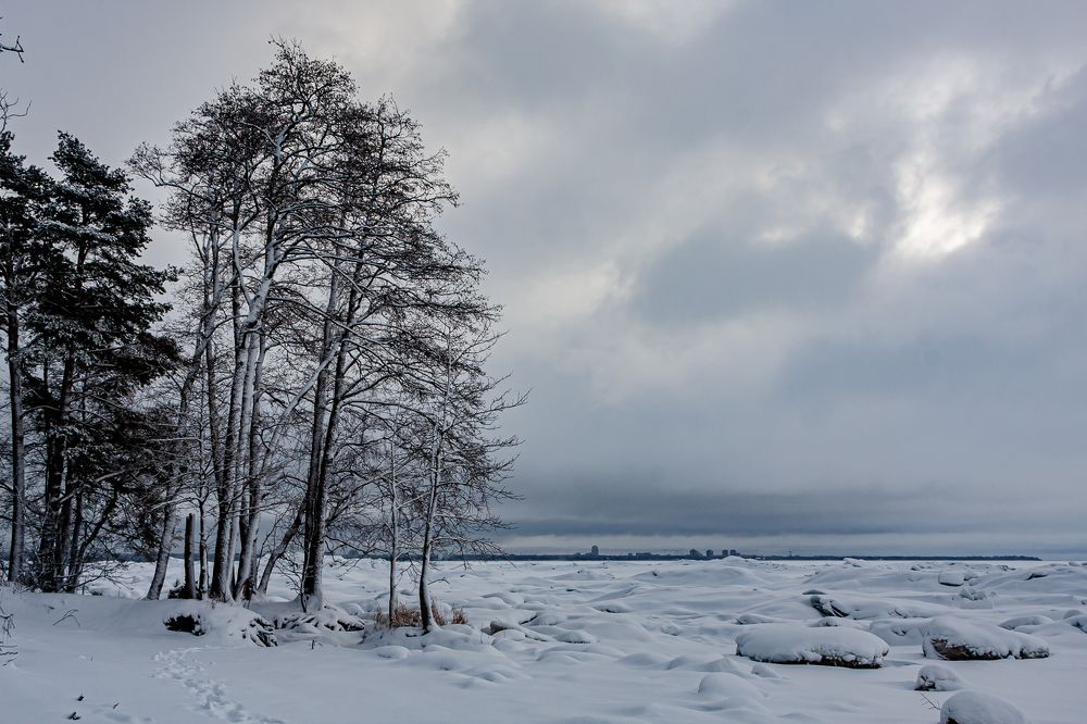 Photograph by Анатолий Мигов