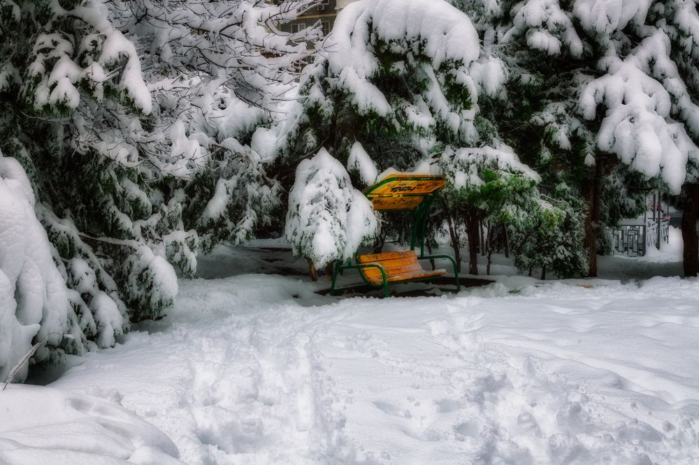 Photograph by Владимир Кваша