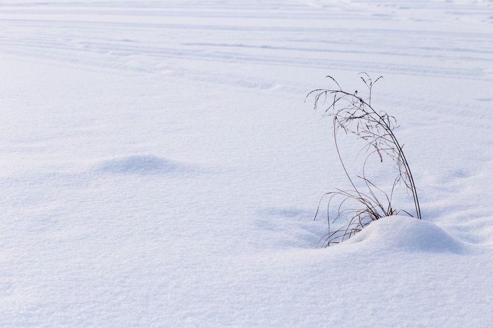 Фотография автора Оркина Ксения