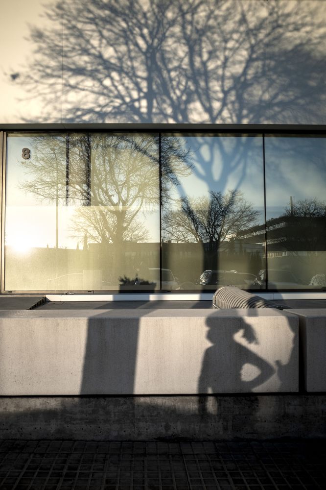 In the shade under the tree