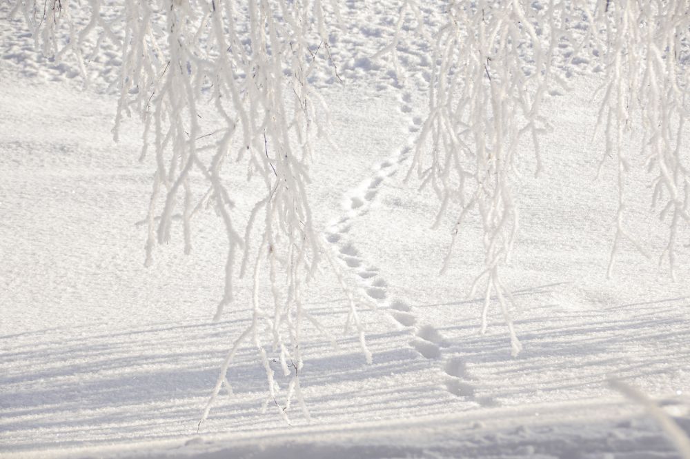 Photograph by Надежда Михайлина