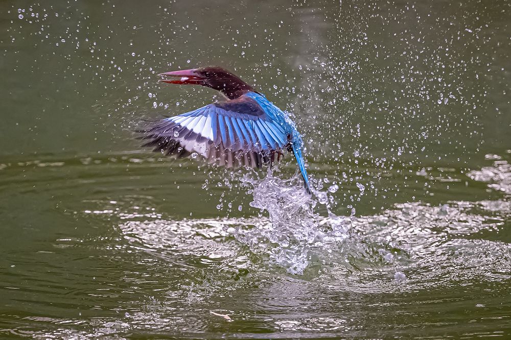 Photograph by Benny Chan