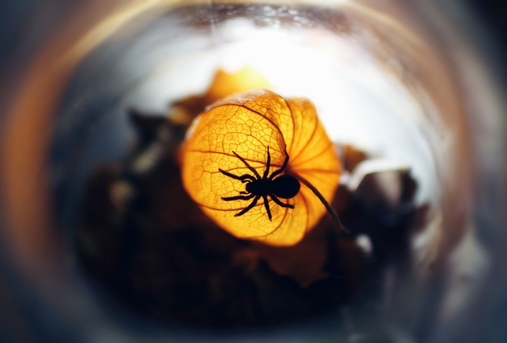 Photograph by Кирилл Кульган