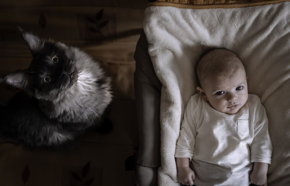 Photograph by Katya Boyer