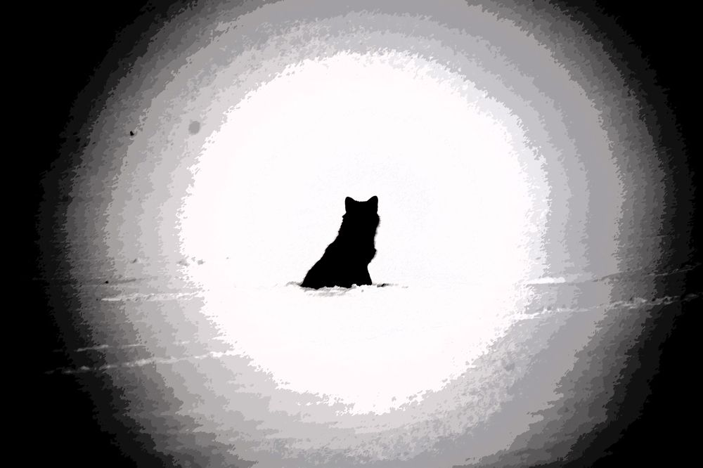 Photograph by Anzela Spiridonova