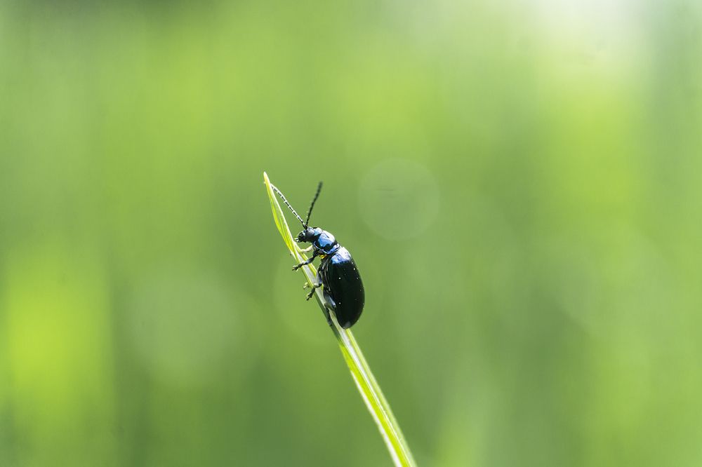 Photograph by Tharaka mihiranga athapaththu