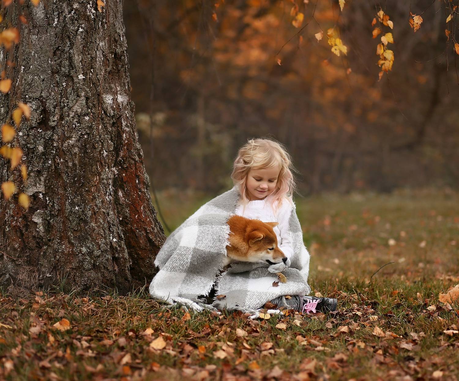 Лучший друг